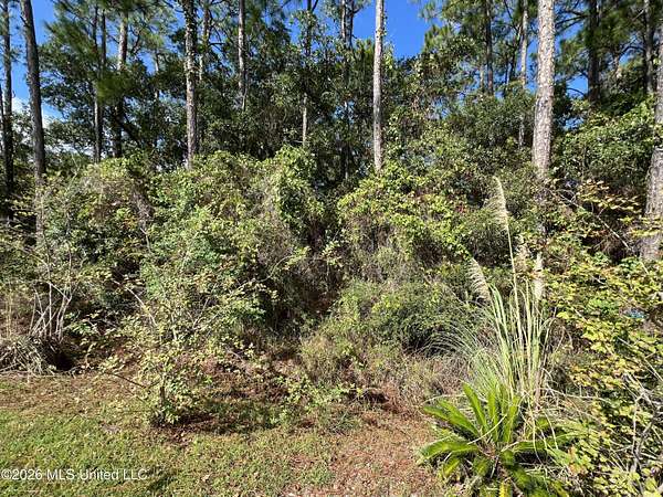 0.17 Acres of Residential Land for Sale in Pass Christian, Mississippi