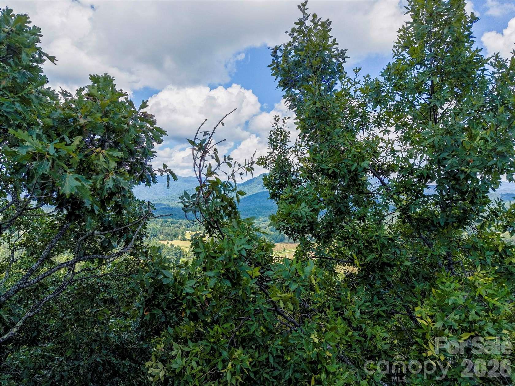 2 Acres of Residential Land for Sale in Lake Lure, North Carolina