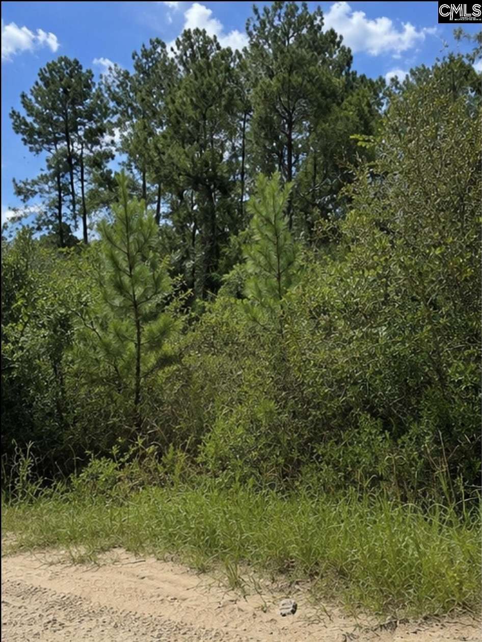 3.2 Acres of Residential Land for Sale in Georgetown, South Carolina