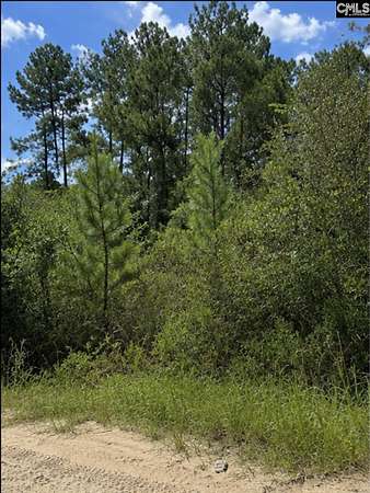 3.2 Acres of Residential Land for Sale in Georgetown, South Carolina