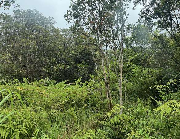 0.28 Acres of Land for Sale in Mountain View, Hawaii