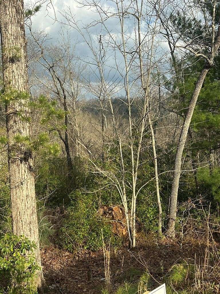 2 Acres of Land for Sale in Blue Ridge, Georgia