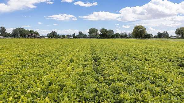 12.9 Acres of Land for Sale in Powell, Wyoming