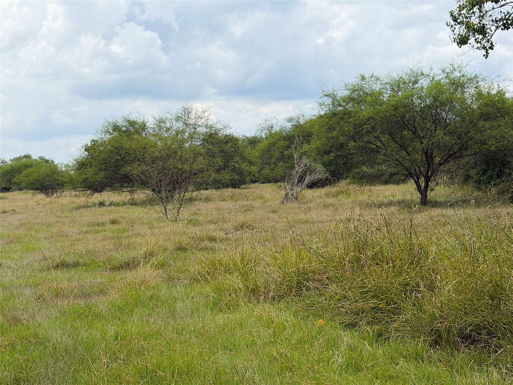 8.79 Acres of Land for Sale in West Columbia, Texas
