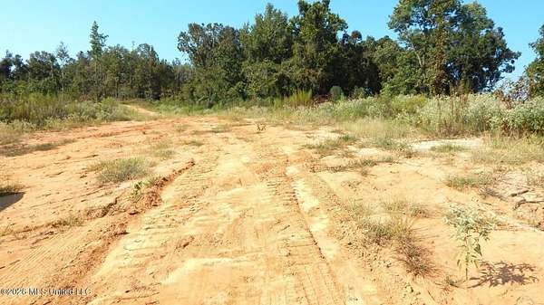 80 Acres of Land for Sale in Tillatoba, Mississippi