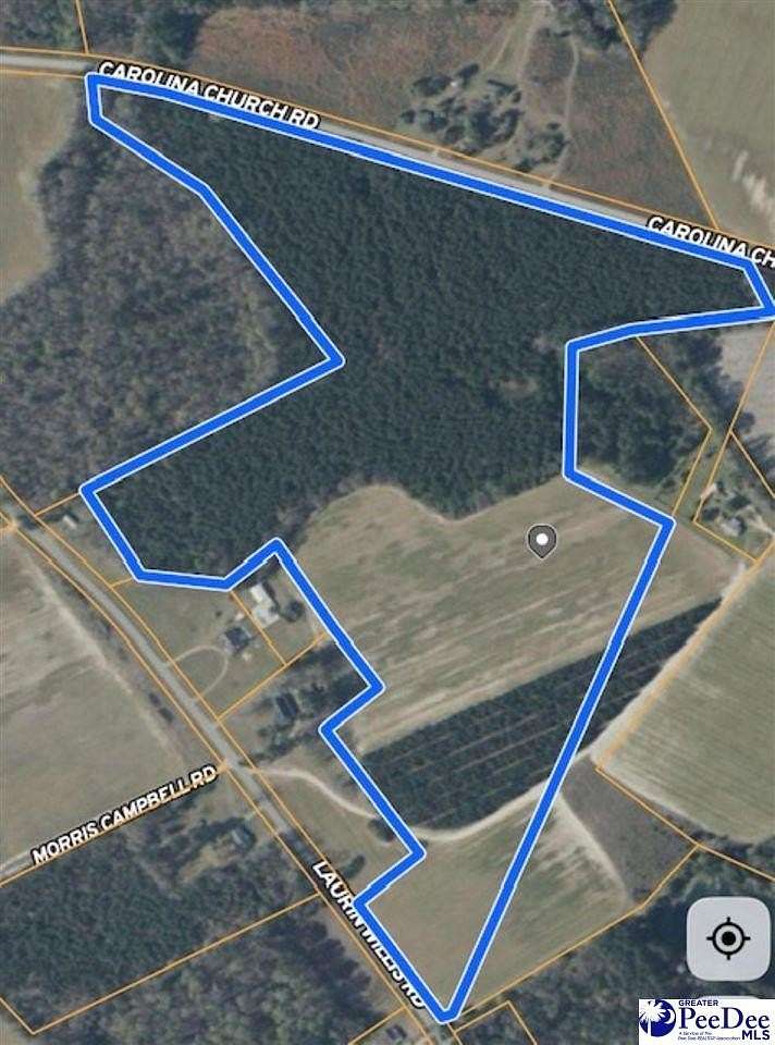 56 Acres of Land for Sale in Clio, South Carolina