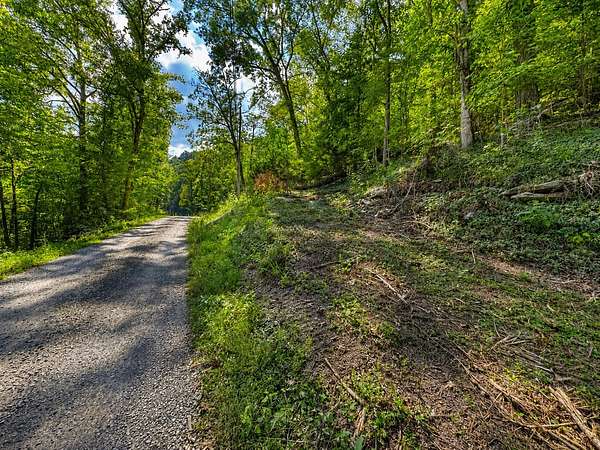 0.3 Acres of Residential Land for Sale in Smithville, Tennessee