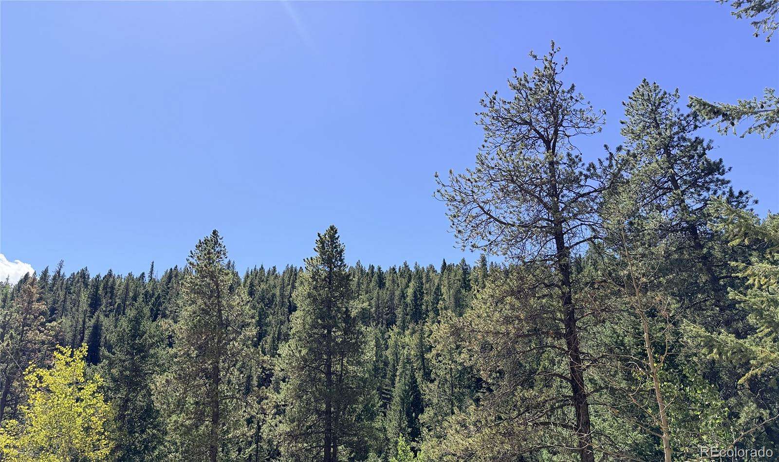 4.5 Acres of Residential Land for Sale in Georgetown, Colorado