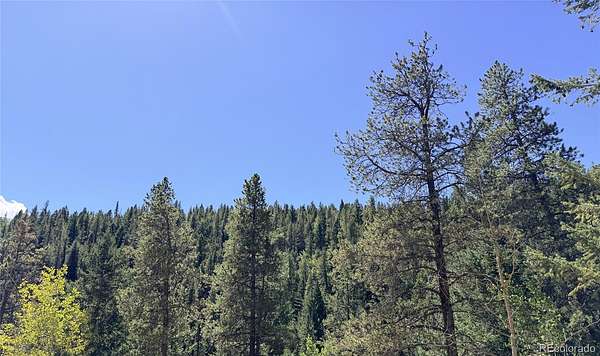 4.5 Acres of Residential Land for Sale in Georgetown, Colorado