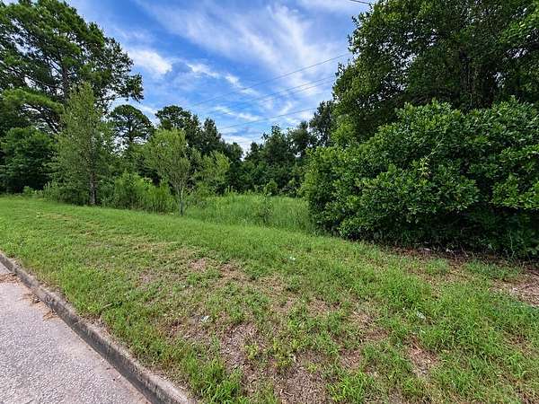 0.99 Acres of Commercial Land for Sale in Albany, Georgia