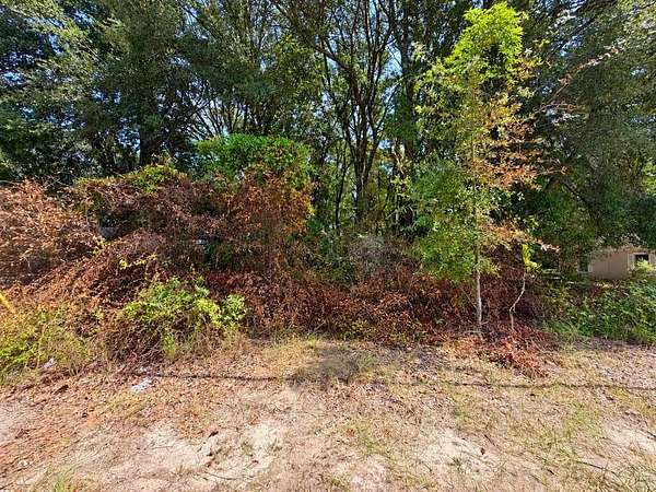 0.41 Acres of Mixed-Use Land for Sale in Albany, Georgia