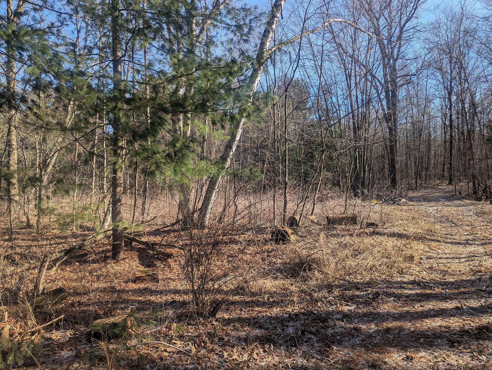 4.87 Acres of Residential Land for Sale in Montrose, Michigan