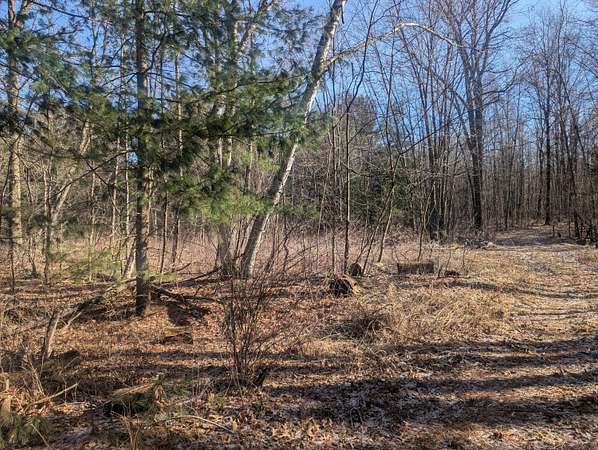 4.87 Acres of Residential Land for Sale in Montrose, Michigan