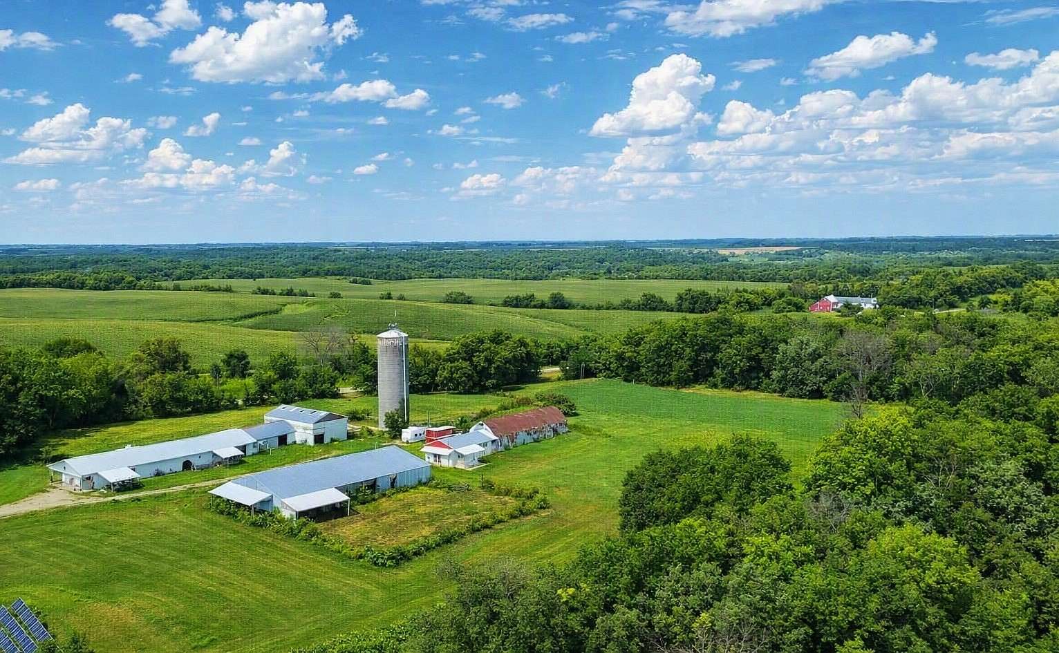 18.3 Acres of Land for Sale in West Concord, Minnesota