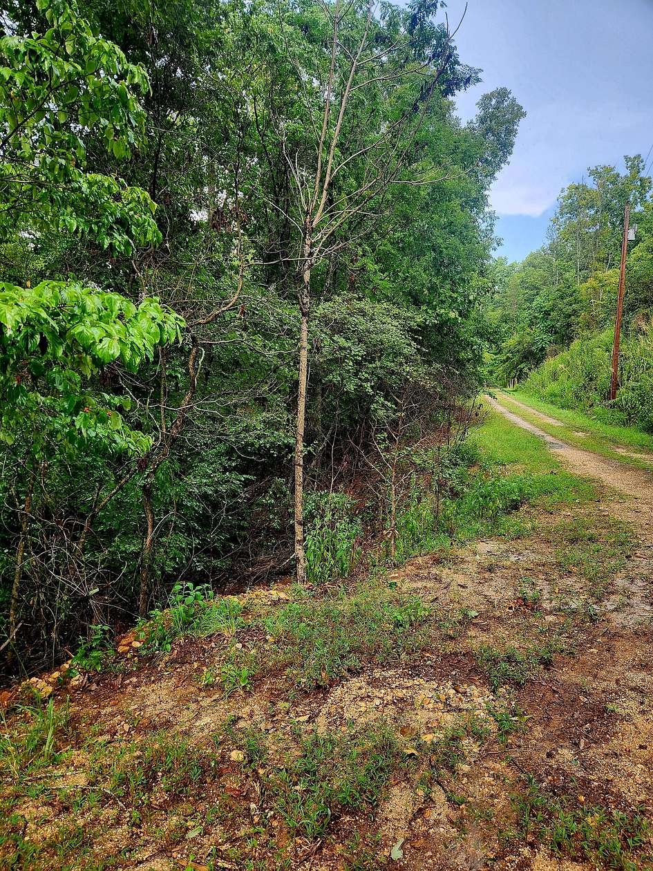 0.35 Acres of Residential Land for Sale in Spring City, Tennessee