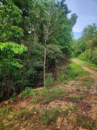 0.35 Acres of Residential Land for Sale in Spring City, Tennessee