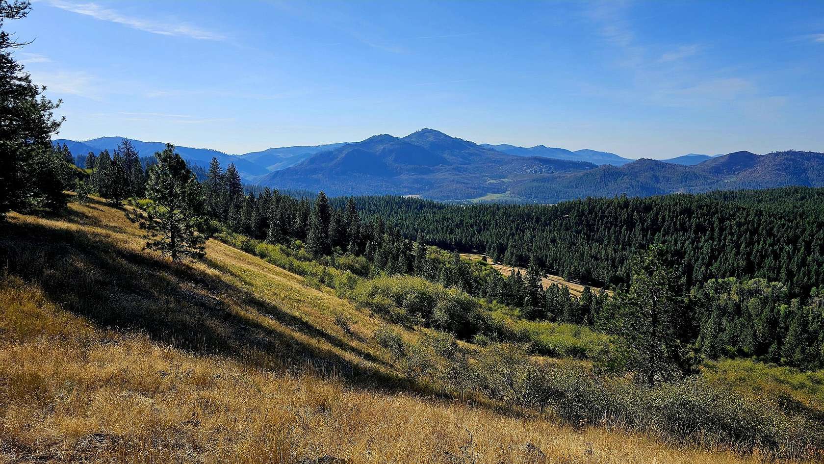 30 Acres of Land for Sale in Hunters, Washington