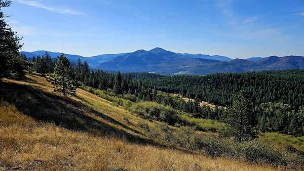 30 Acres of Land for Sale in Hunters, Washington