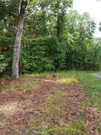 9.58 Acres of Residential Land for Sale in Spring City, Tennessee