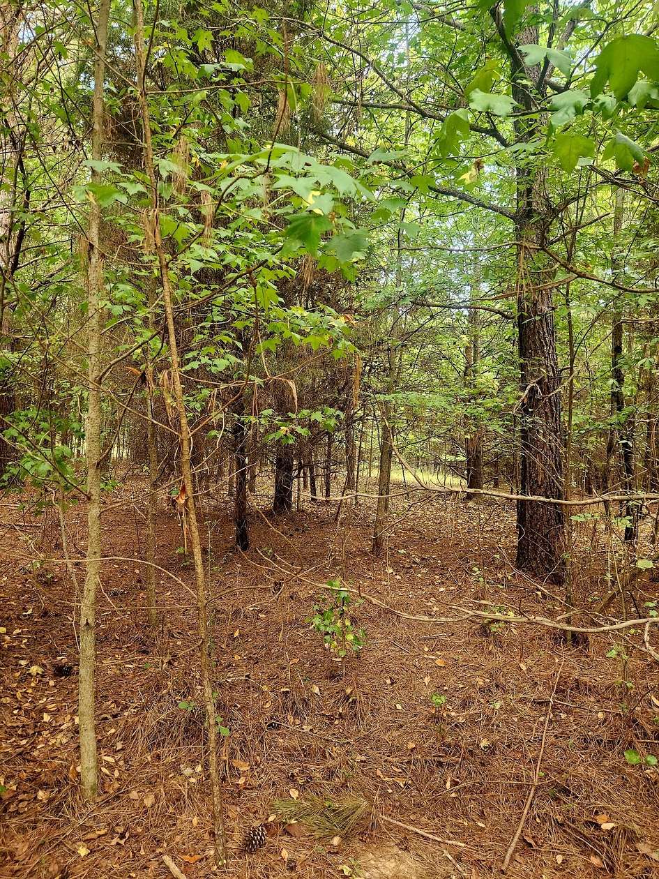 0.57 Acres of Residential Land for Sale in Spring City, Tennessee