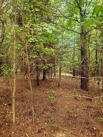0.57 Acres of Residential Land for Sale in Spring City, Tennessee