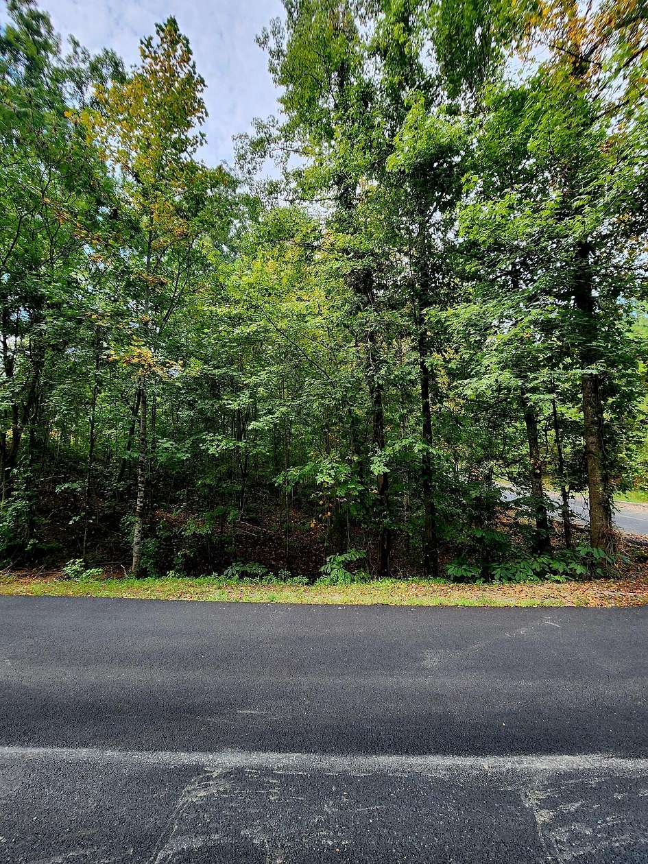0.48 Acres of Residential Land for Sale in Spring City, Tennessee