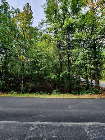 0.48 Acres of Residential Land for Sale in Spring City, Tennessee