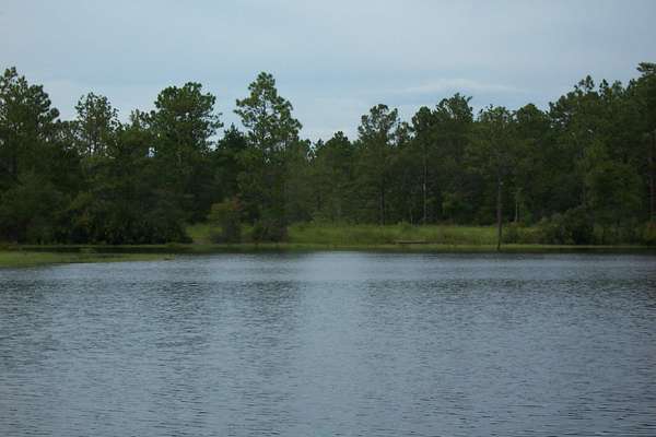 0.5 Acres of Land with Home for Sale in DeFuniak Springs, Florida