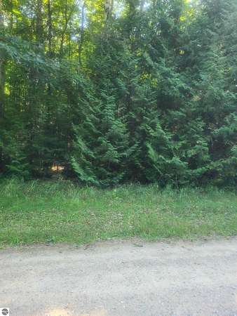 0.6 Acres of Residential Land for Sale in Oscoda, Michigan