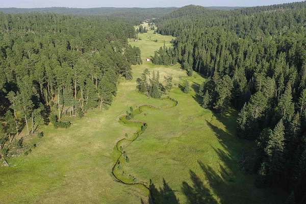 67.3 Acres of Recreational Land for Sale in Deadwood, South Dakota