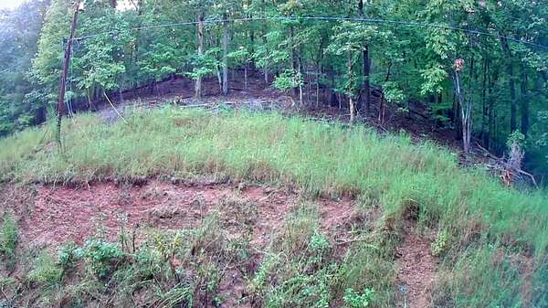 0.77 Acres of Residential Land for Sale in Spring City, Tennessee
