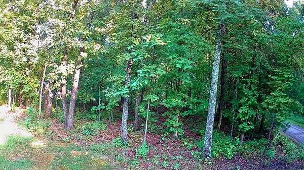 0.49 Acres of Residential Land for Sale in Spring City, Tennessee