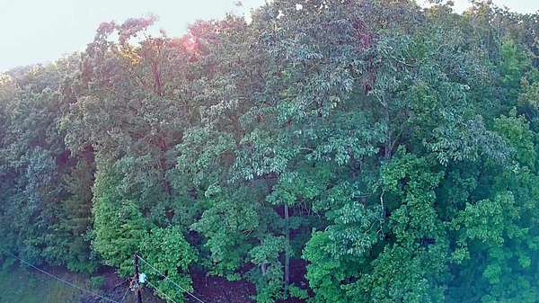 0.57 Acres of Residential Land for Sale in Spring City, Tennessee