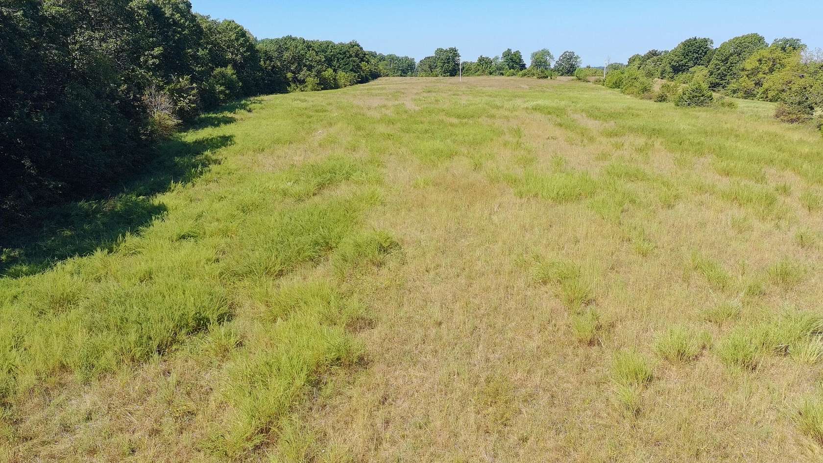 80 Acres of Land for Sale in Norwood, Missouri