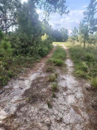 2.5 Acres of Residential Land for Sale in Okeechobee, Florida