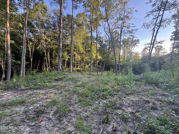 5 Acres of Residential Land for Sale in Pioneer, Tennessee