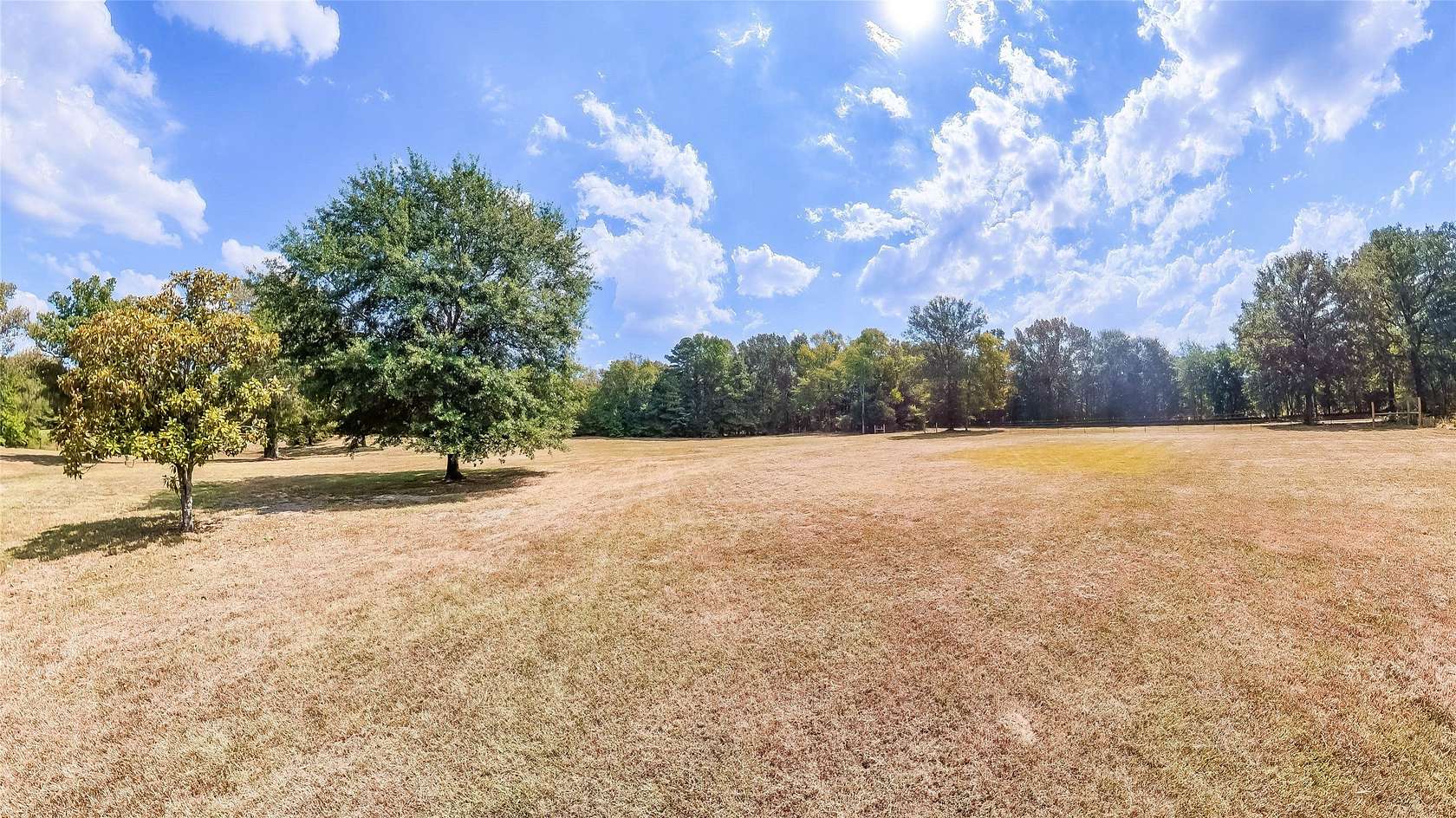3 Acres of Residential Land for Sale in Elysian Fields, Texas