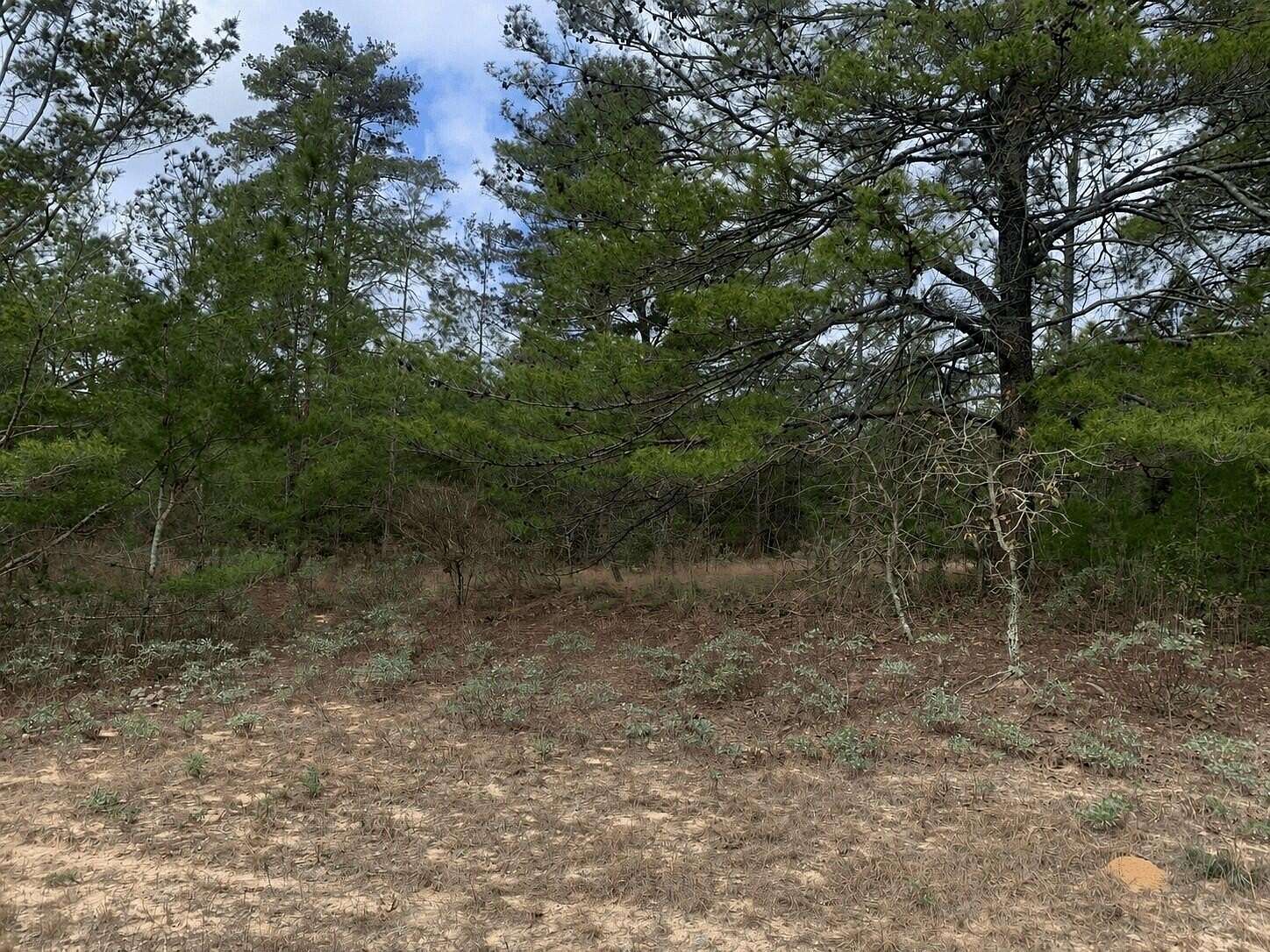 0.35 Acres of Residential Land for Sale in Marianna, Florida