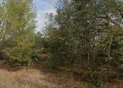 0.23 Acres of Residential Land for Sale in Interlachen, Florida