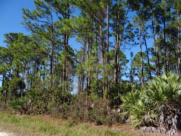 1.25 Acres of Residential Land for Sale in The Acreage, Florida