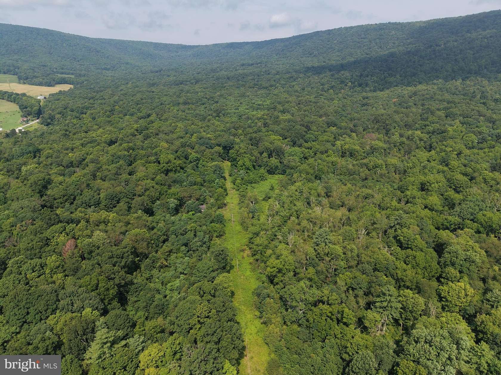 107 Acres of Recreational & Residential Land for Auction in Wells Tannery, Pennsylvania