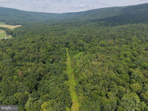 107 Acres of Recreational & Residential Land for Auction in Wells Tannery, Pennsylvania