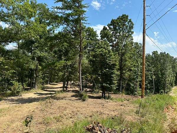 17 Acres of Land for Sale in Waverly, Tennessee