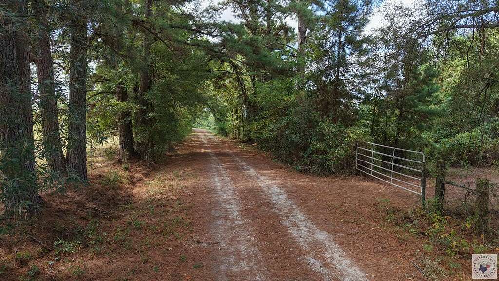 10 Acres of Recreational & Residential Land for Sale in De Kalb, Texas
