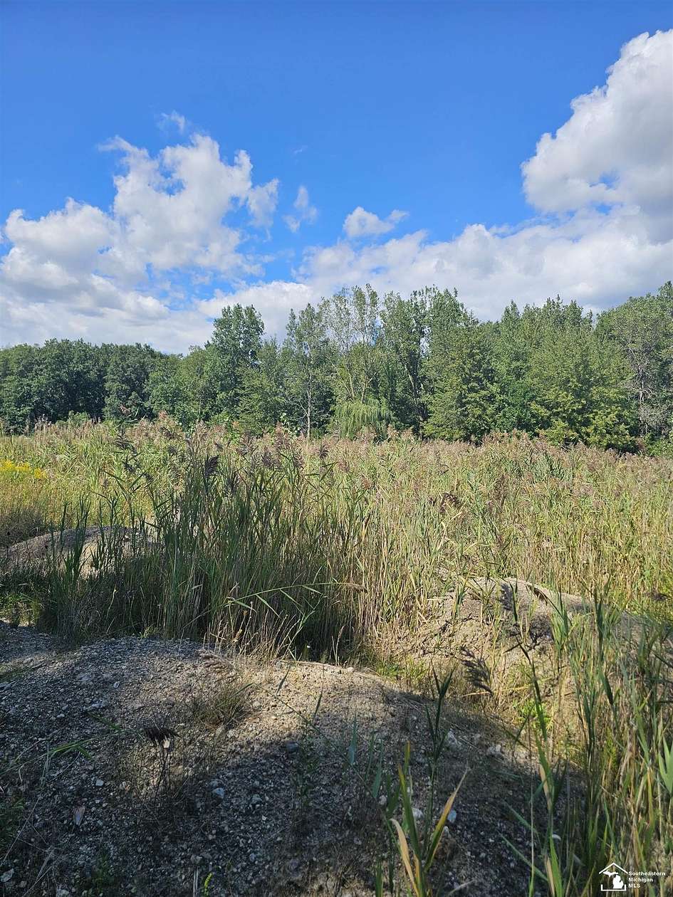 9.59 Acres of Residential Land for Sale in Trenton, Michigan