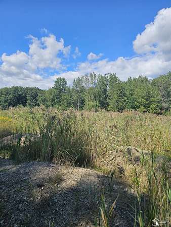 9.59 Acres of Residential Land for Sale in Trenton, Michigan