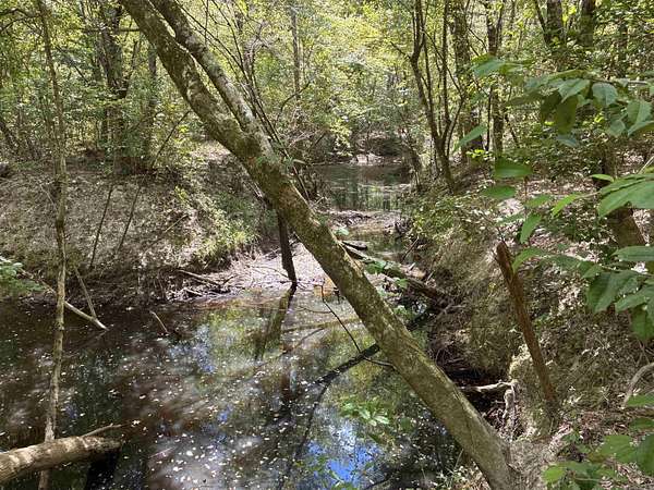 60 Acres of Recreational Land for Auction in Emerson, Arkansas