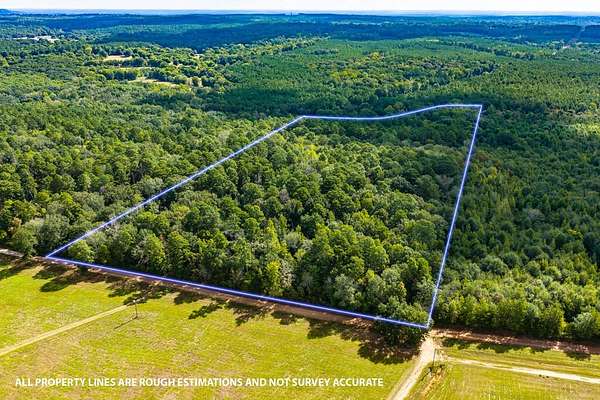 25 Acres of Recreational & Residential Land for Sale in Chireno, Texas