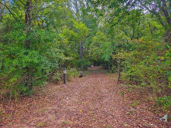 25 Acres of Recreational & Residential Land for Sale in Chireno, Texas