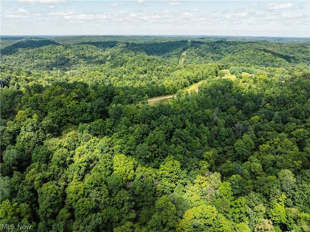 80.9 Acres of Recreational Land for Auction in Dennison, Ohio